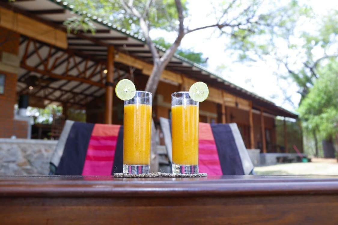 The Ibis - Wilpattu Villa Puttalam Exterior photo